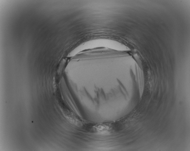 X0000066520512200604141817