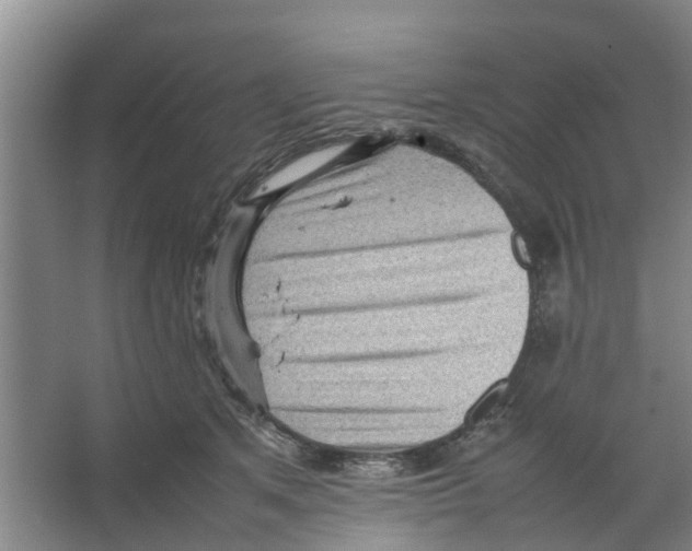 X0000066520513200604141817