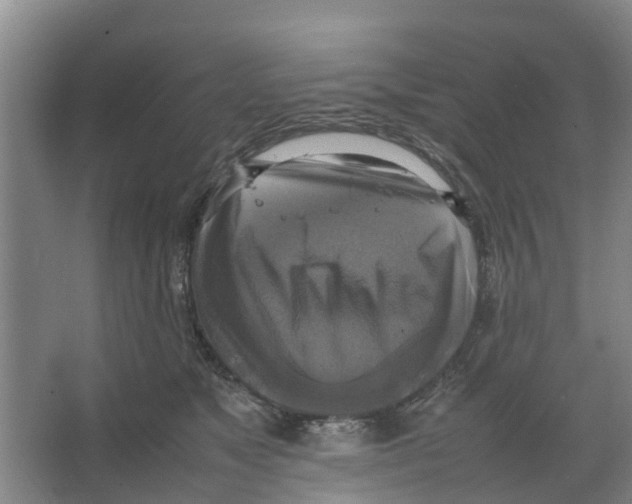 X0000066520517200604141817