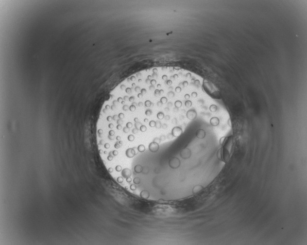 X0000066520519200604141817