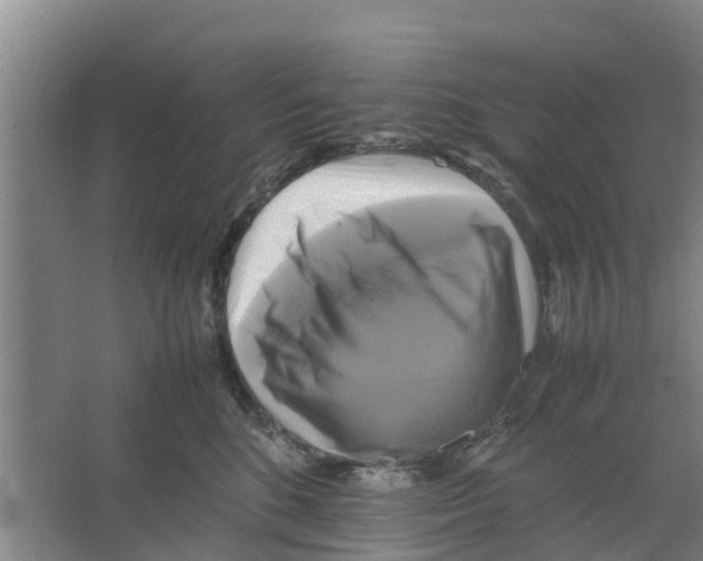 X0000066520520200604141817