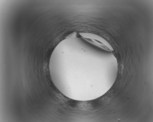 X0000066520521200604141817