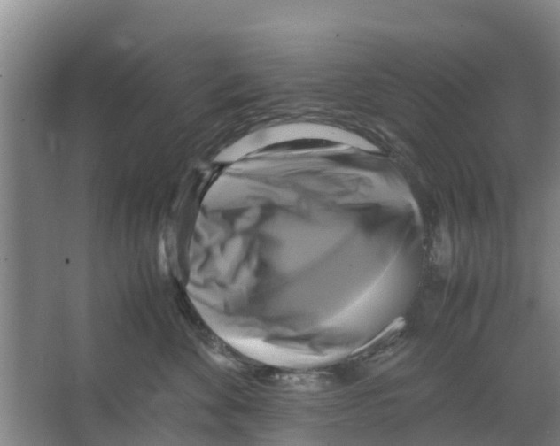 X0000066520524200604141817