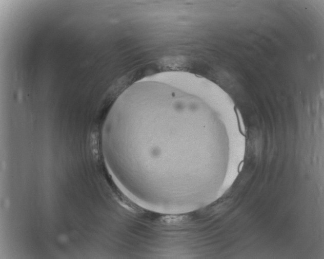 X0000066520526200604141817