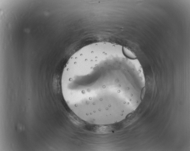 X0000066520527200604141817