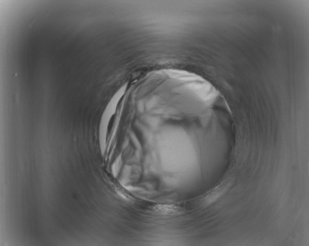 X0000066520528200604141817