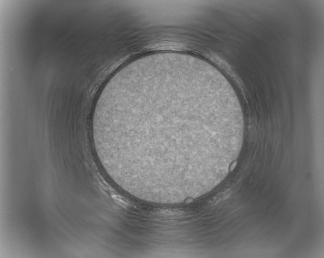 X0000066520529200604141816