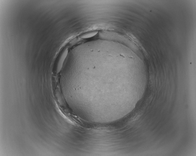 X0000066520530200604141816