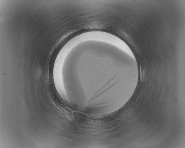 X0000066520531200604141816