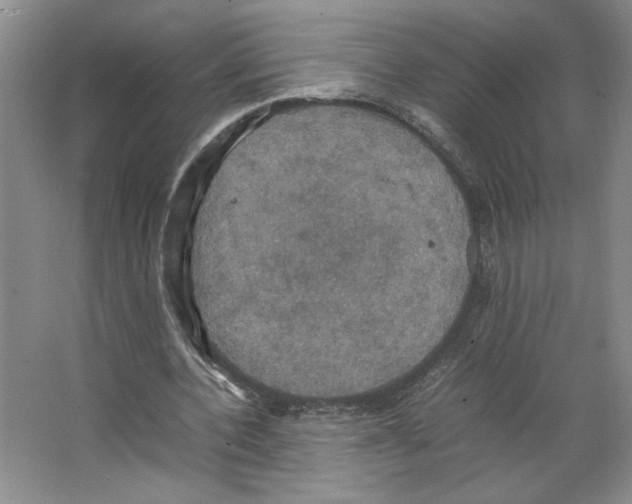 X0000066520532200604141816