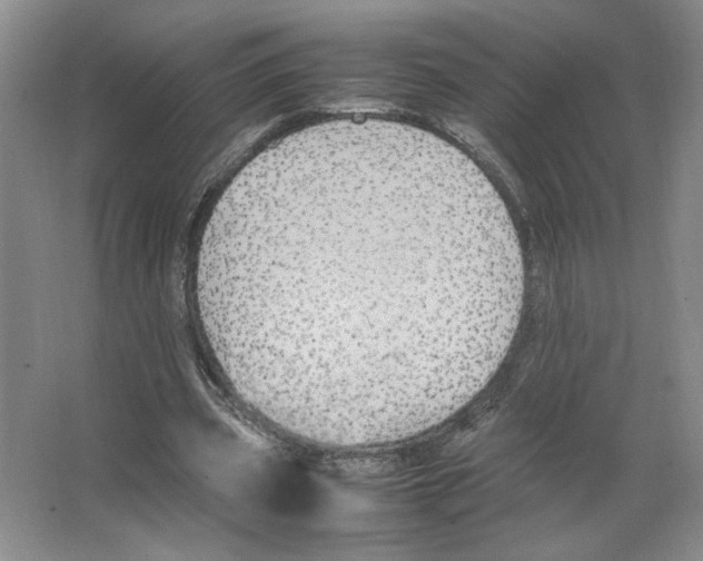 X0000066520533200604141816