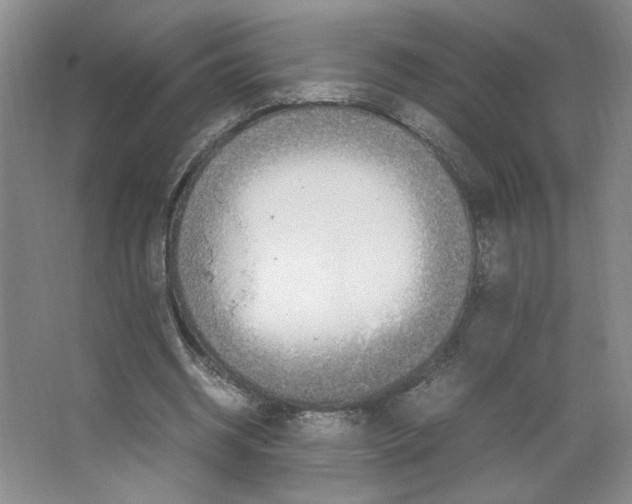 X0000066520534200604141816