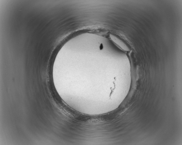 X0000066520536200604141816