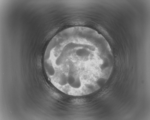 X0000066520537200604141816