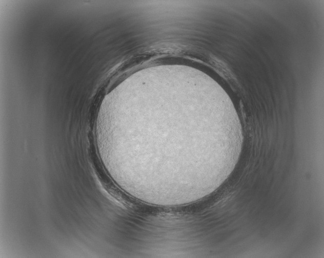 X0000066520538200604141816