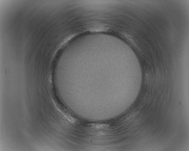 X0000066520539200604141816