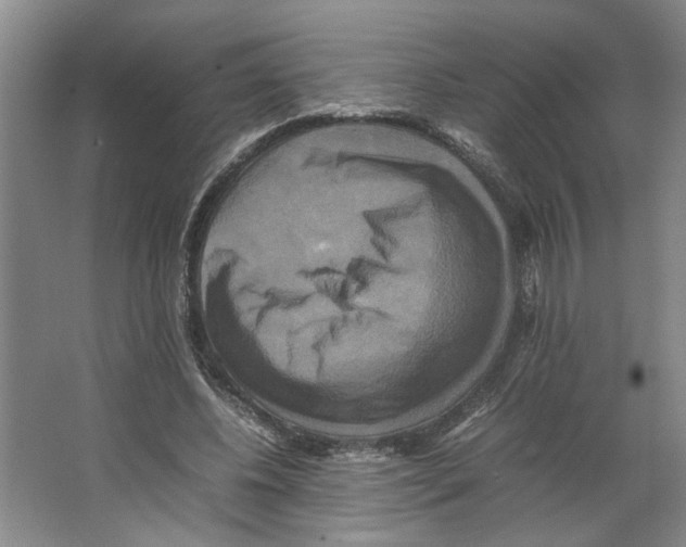 X0000066520540200604141816