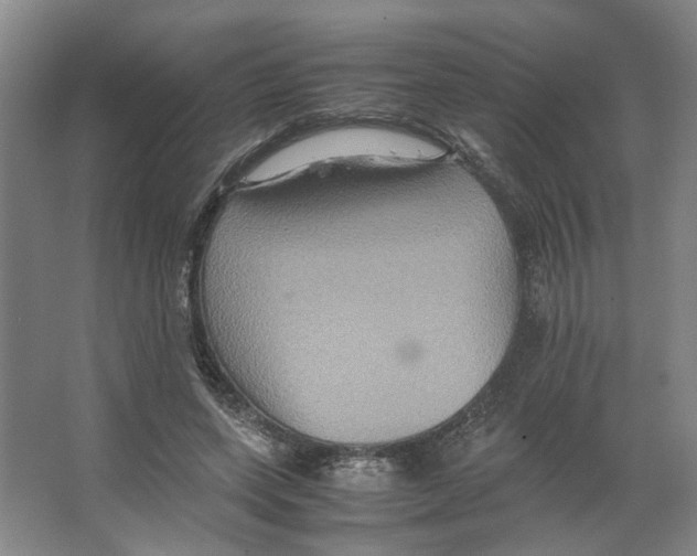 X0000066520543200604141816