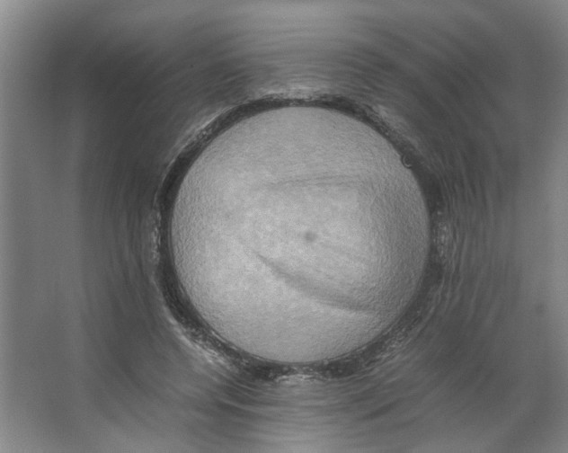 X0000066520544200604141816