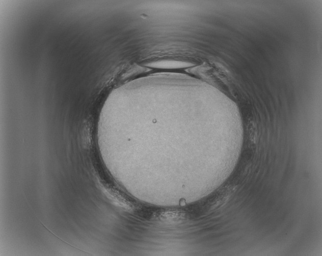 X0000066520546200604141816