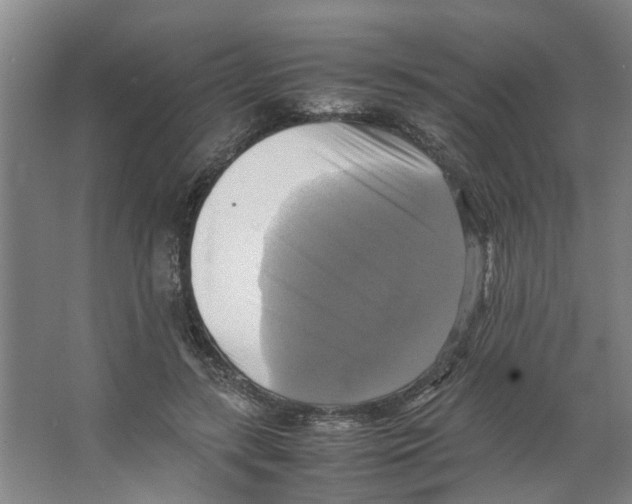 X0000066520547200604141816