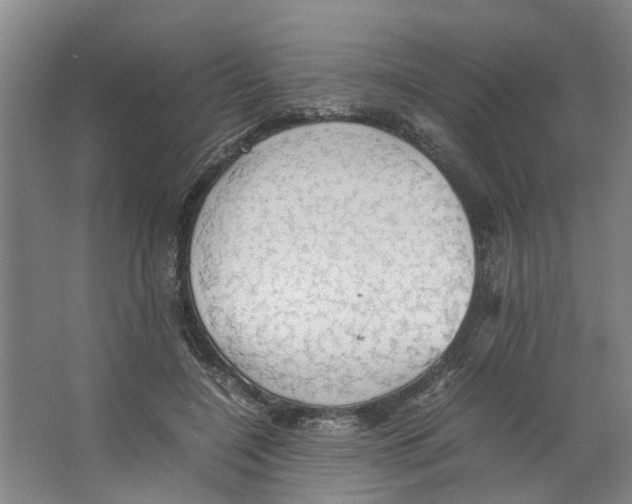 X0000066520548200604141816