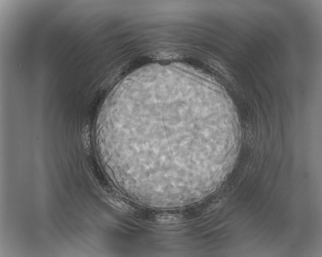 X0000066520549200604141816