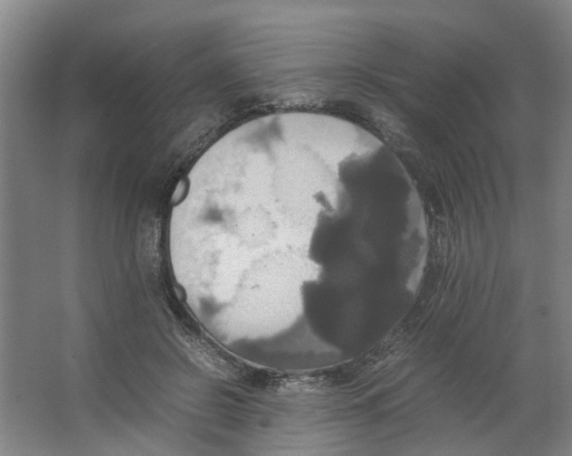 X0000066520550200604141816