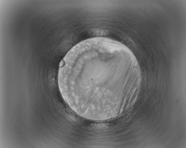 X0000066520553200604141817