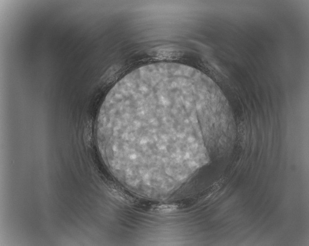 X0000066520554200604141817