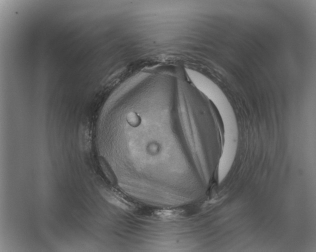 X0000066520558200604141817