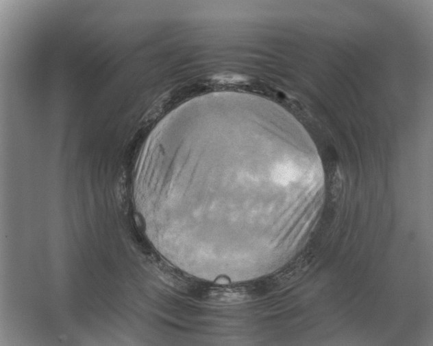 X0000066520559200604141817