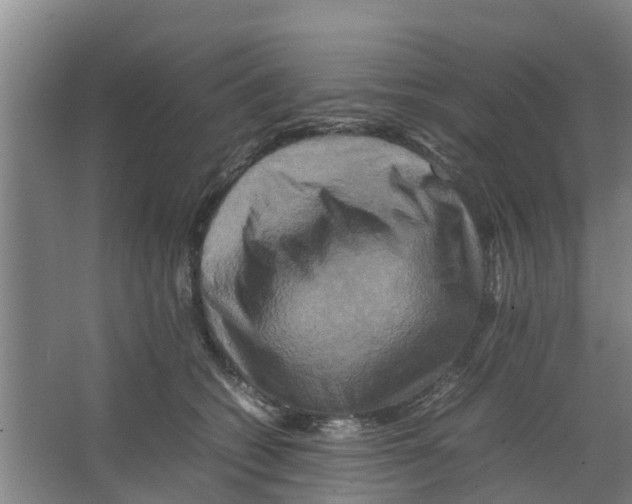 X0000066520562200604141817