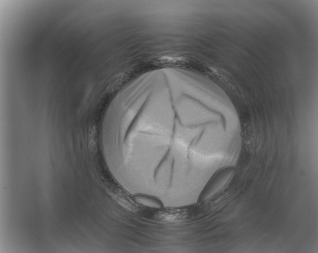 X0000066520563200604141817