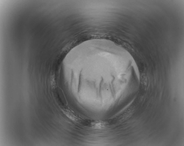 X0000066520564200604141817