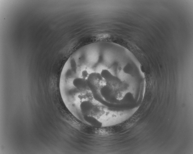 X0000066520565200604141817