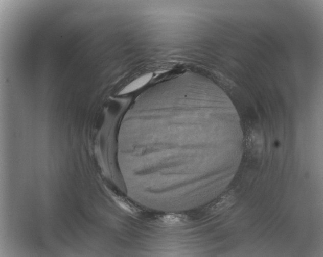 X0000066520566200604141817