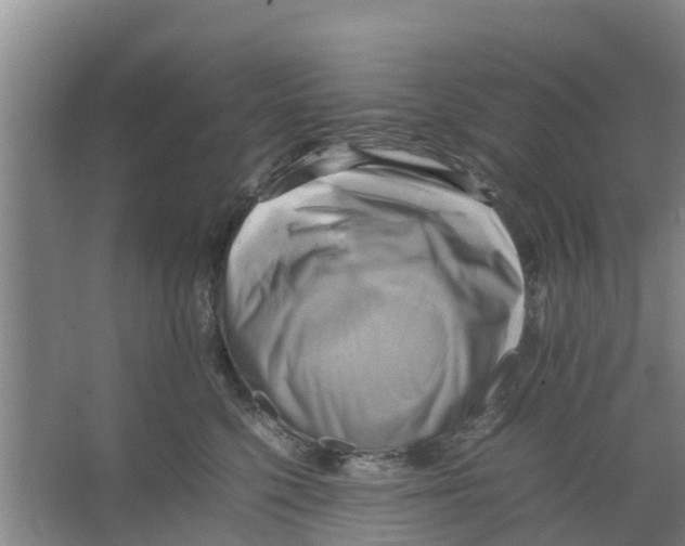 X0000066520568200604141817