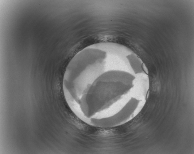 X0000066520569200604141817