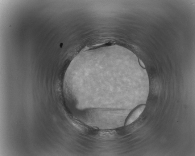 X0000066520571200604141817