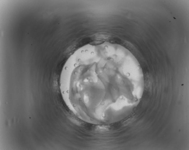 X0000066520573200604141817