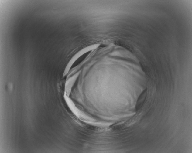 X0000066520576200604141817