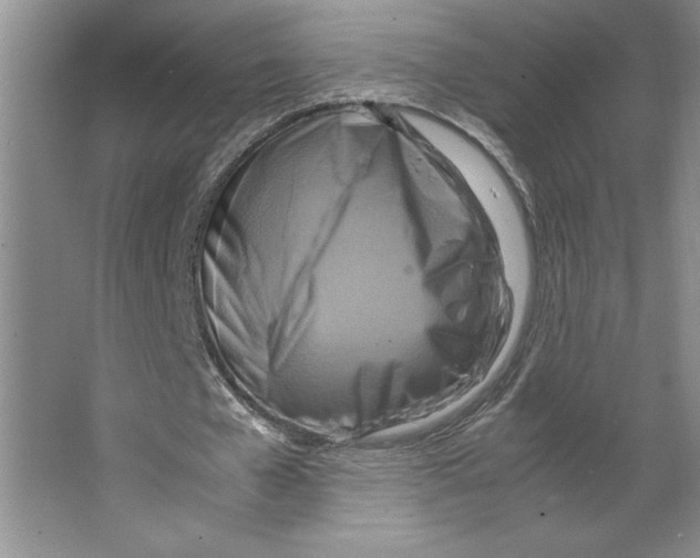 X0000066520577200604141816