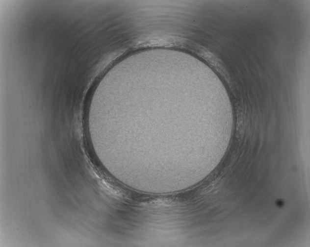 X0000066520578200604141816