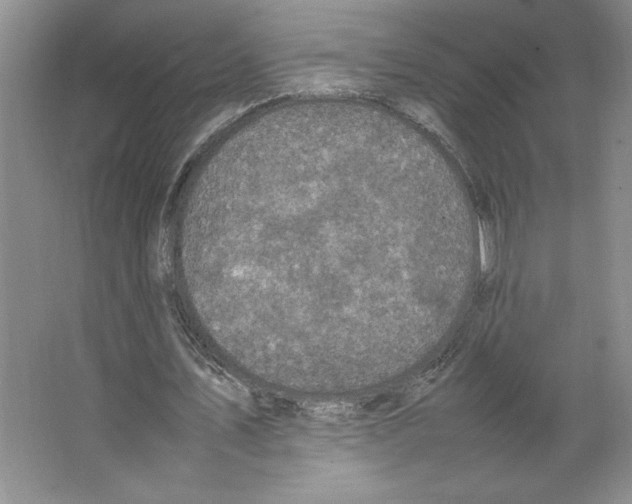 X0000066520579200604141816