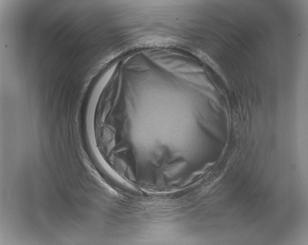 X0000066520581200604141816