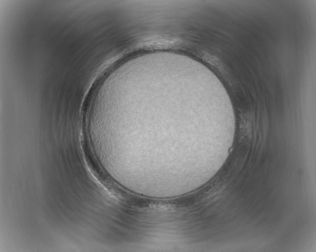 X0000066520582200604141816