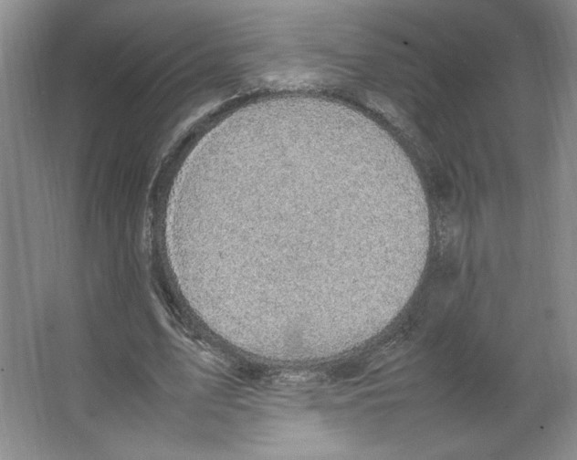 X0000066520583200604141816