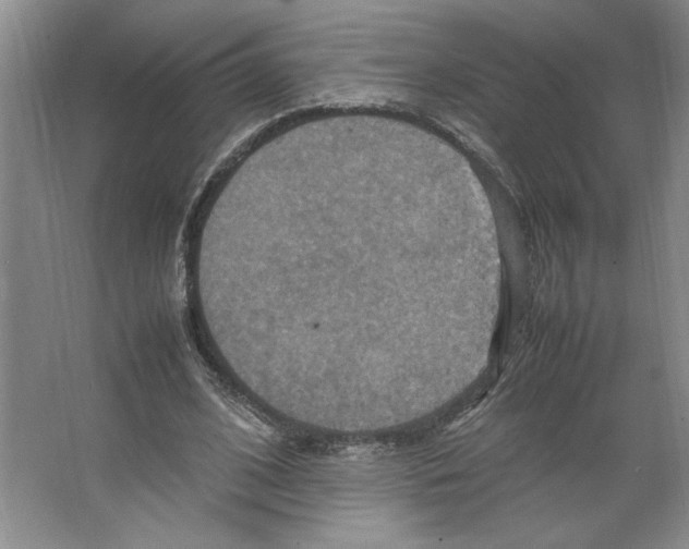 X0000066520584200604141816