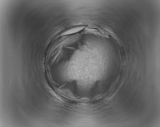 X0000066520585200604141816